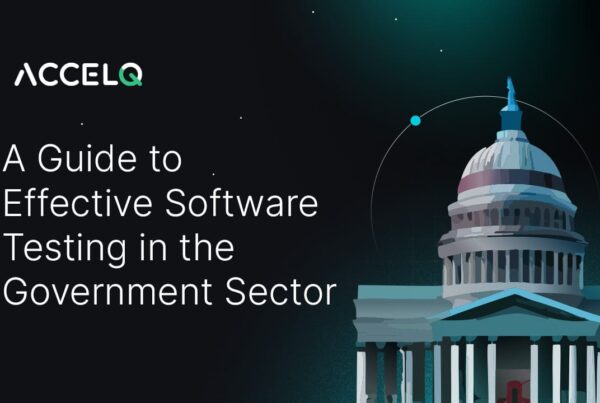 A guide to effective software testing in government sector