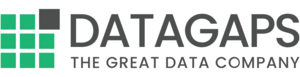 Datagaps logo
